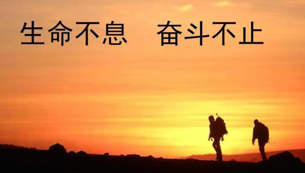 招募站长星浩好项目网-专注分享网络创业项目落地实操课程 – 全网首发_高质量创业项目输出星浩好项目网