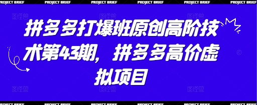拼多多打爆班原创高阶技术第43期,拼多多高价虚拟项目星浩好项目网-专注分享网络创业项目落地实操课程 – 全网首发_高质量创业项目输出星浩好项目网
